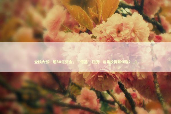 全线大涨！超80亿资金，“借基”扫货！这类投资如何选？_1 新闻