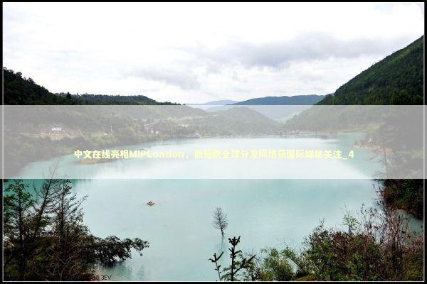 中文在线亮相MIPLondon，微短剧全球分发网络获国际媒体关注_4