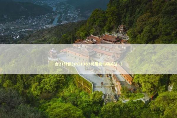 台21转债(sh113638)引发市场关注_3 新闻