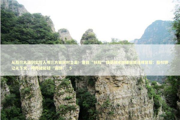 从股价大涨到实控人等三方被同时立案！昔日“妖股”捷荣技术涉嫌信披违规背后：股权转让无下文，跨界储能疑“画饼”_5 新闻