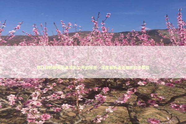 别让你的聊天记录成为公开的秘密：深度解析通讯加密的必要性