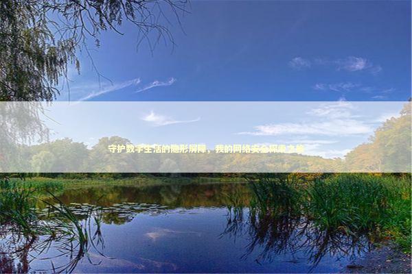 守护数字生活的隐形屏障，我的网络安全探索之旅 IT技术