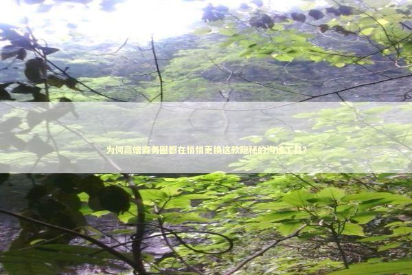 为何高端商务圈都在悄悄更换这款隐秘的沟通工具？ IT技术