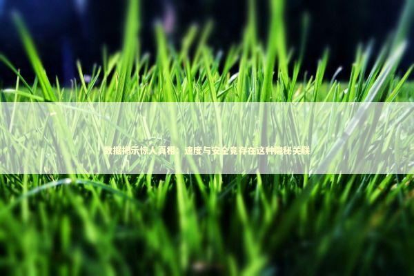 数据揭示惊人真相：速度与安全竟存在这种隐秘关联 汽车科技