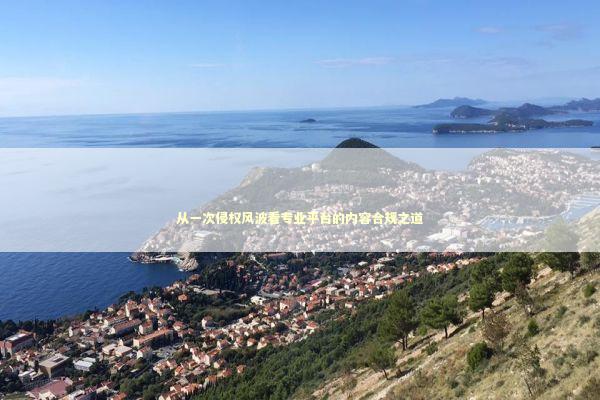 从一次侵权风波看专业平台的内容合规之道 新闻